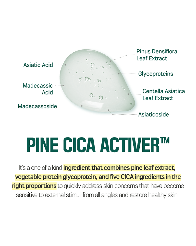 ROUND LAB Pine Calming Cica Cream