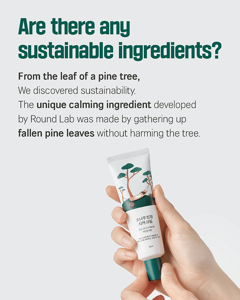 ROUND LAB Pine Calming Cica Cream