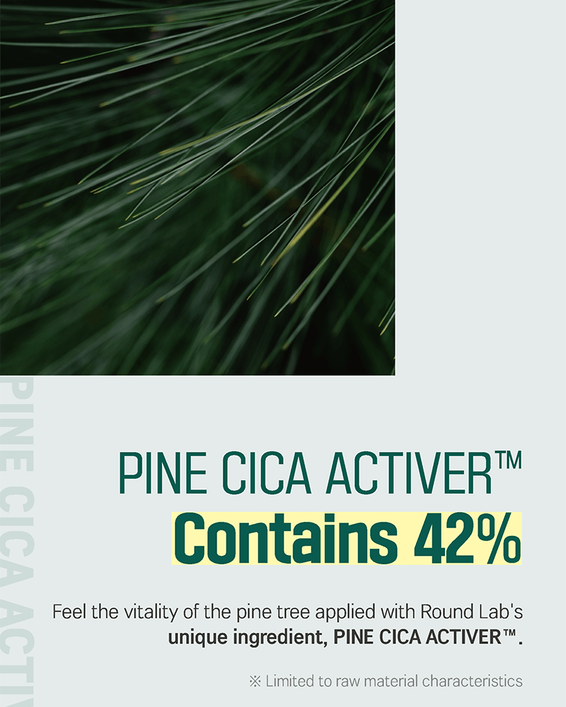 ROUND LAB Pine Calming Cica Cream